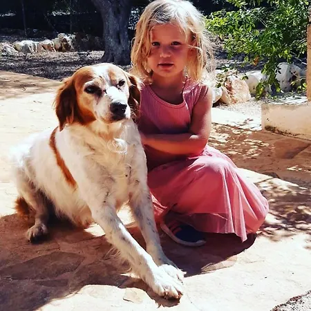 Giovannarolla House 4* أوستوني