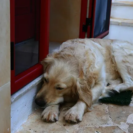 فندق مبيت وإفطار Giovannarolla House 4*