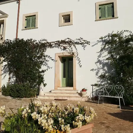 Giovannarolla House أوستوني