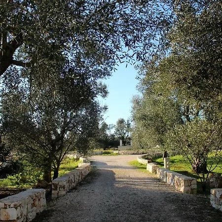 Giovannarolla House فندق مبيت وإفطار أوستوني