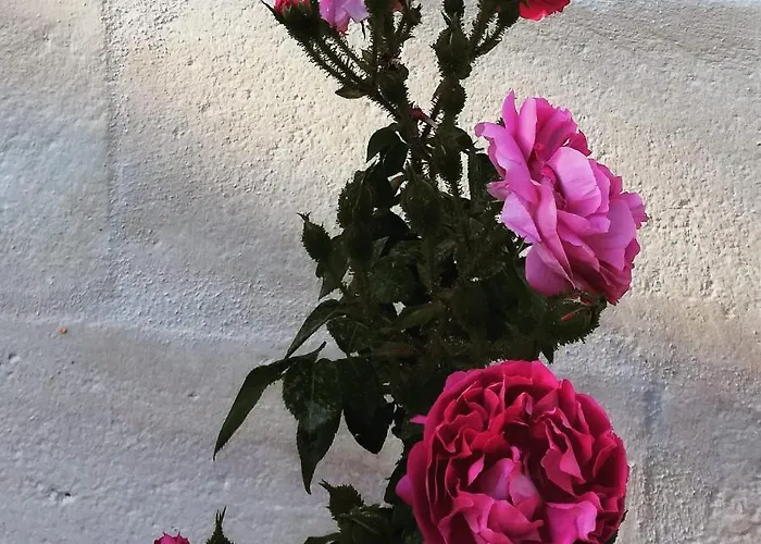 Giovannarolla House Ostuni