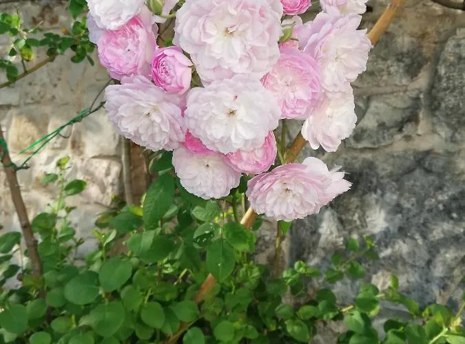 Giovannarolla House Ostuni