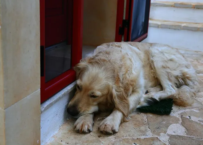 Frühstückspension Giovannarolla House 4*