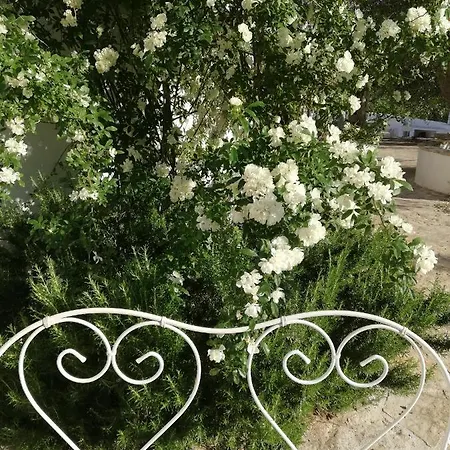 Bed & Breakfast Giovannarolla House