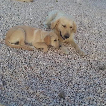 Couette-café Giovannarolla House