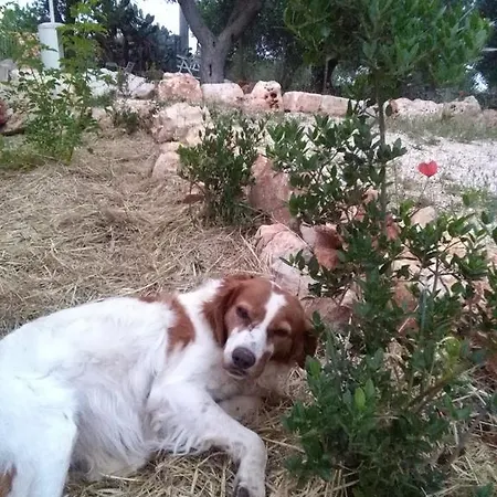 Couette-café Giovannarolla House 4*