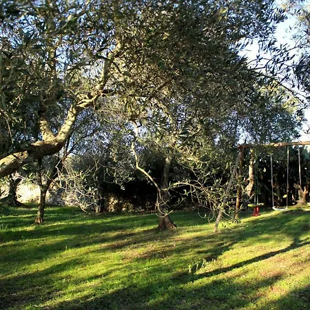 Giovannarolla House Couette-café Ostuni