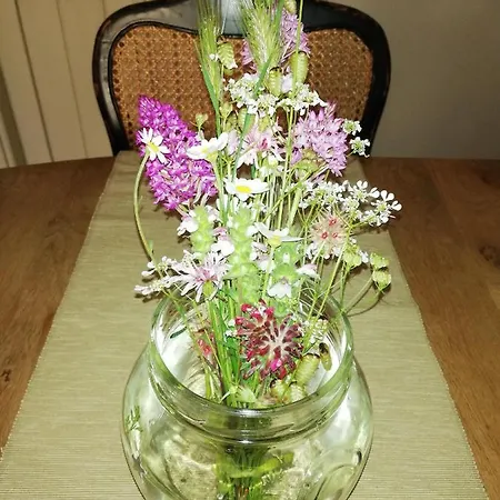 Giovannarolla House 4*