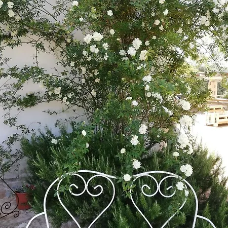 Giovannarolla House Ostuni