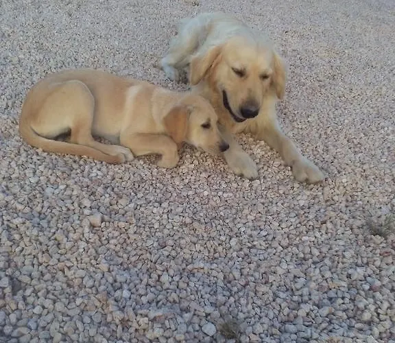Alojamento de Acomodação e Pequeno-almoço Giovannarolla House